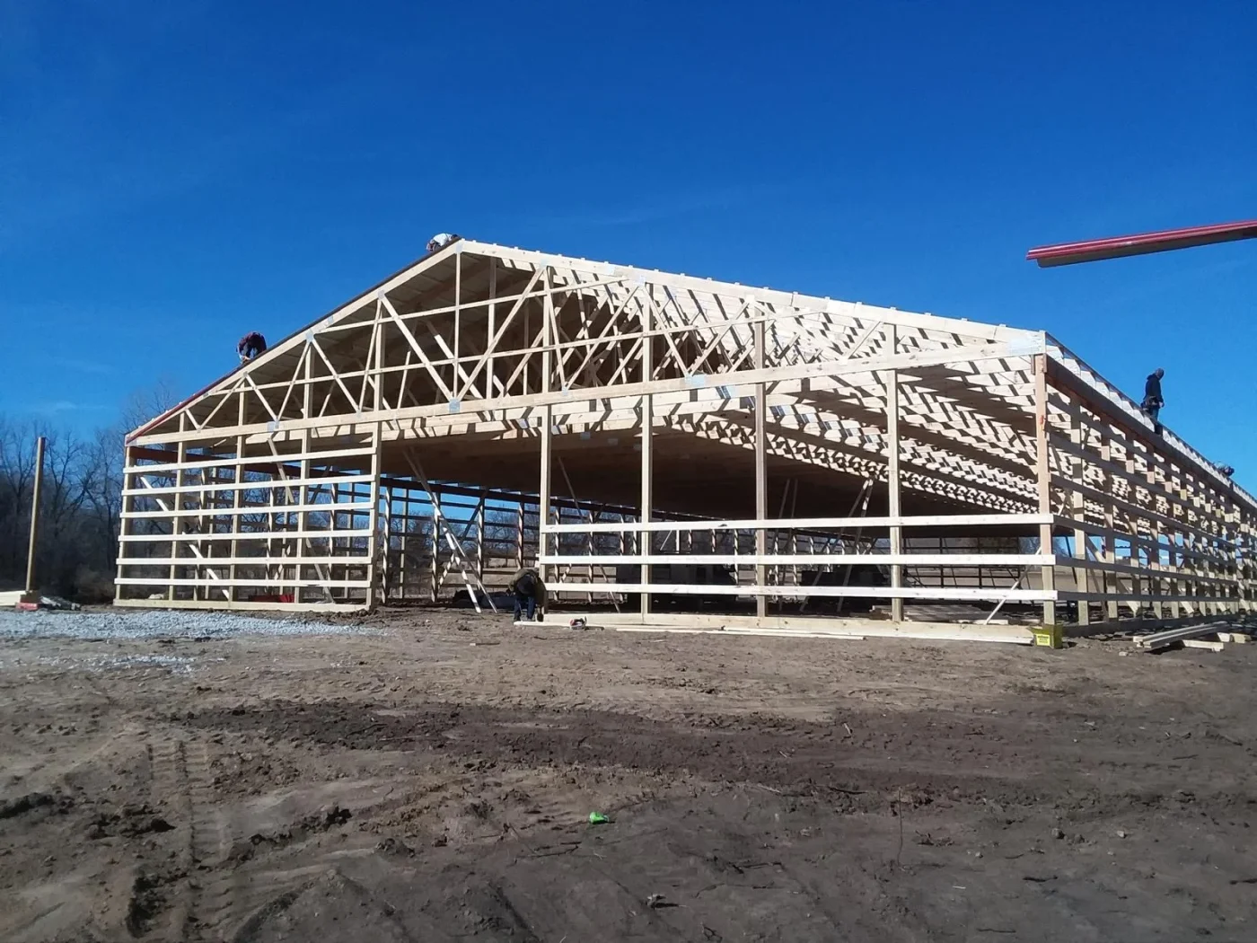 A photo taken of an agricultural building being built using wooden framing. The building is wide and has an open space beneath the roof, with no visible center support beams or posts. The roof trusses are wide and evenly spread out.